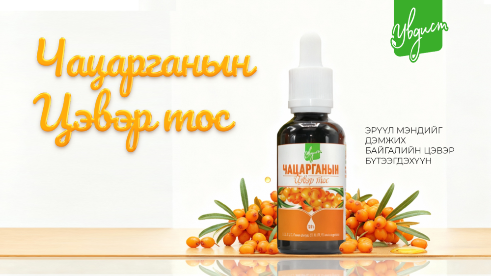 Монгол чацарганын тос 80 орчим төрлийн аминдэм, эрдэс бодис агуулдаг